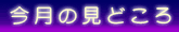 今月の見どころ