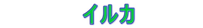 　　　　　イルカ　　　　