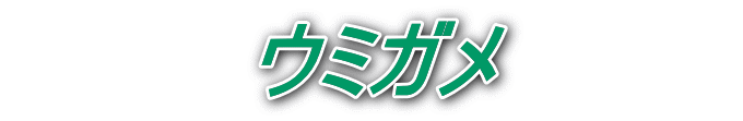 　　　　ウミガメ　　　　 