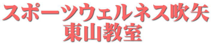 スポーツウェルネス吹矢 　　　東山教室