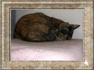 �䂪�Ƃ̂��Ⴑ�����ł�